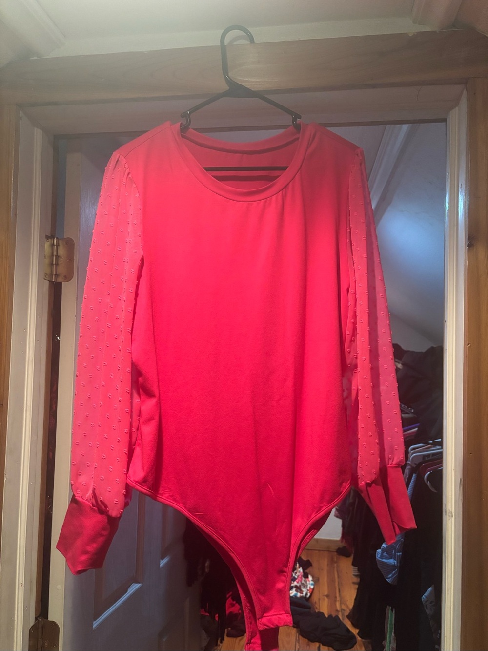 Pink Long Sleeve Bodysuit Like New